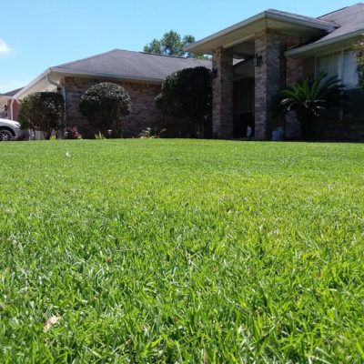 DJ’S Lawn Service