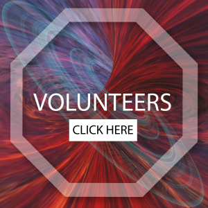 Volunteer Application