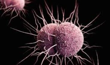 Public Health Under Scrutiny in Pensacola Amid Rising STDs