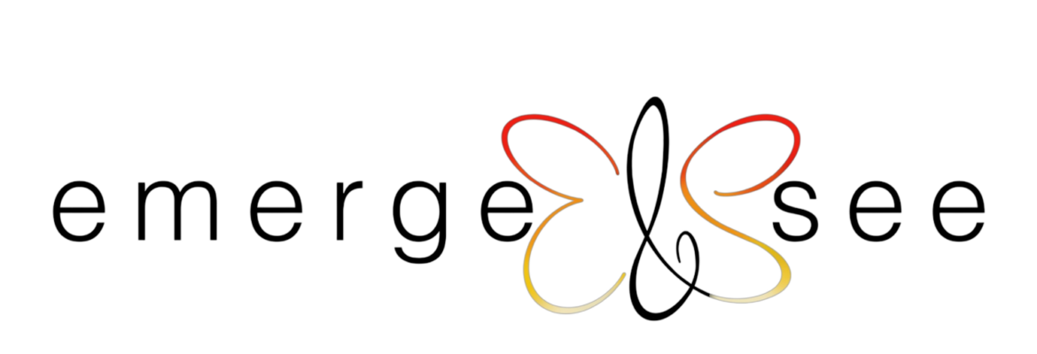Emerge & See LLC